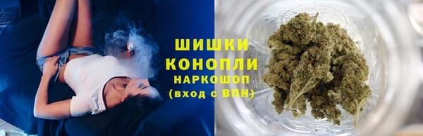 гидра Арсеньев