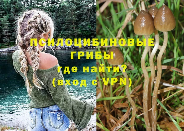 гидра Арсеньев