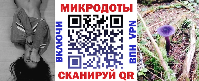Псилоцибиновые грибы мицелий ОМГ ОМГ ONION Дорогобуж