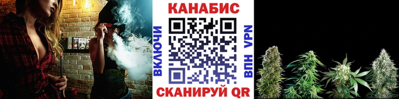 МЕГА вход  Дорогобуж  площадка как зайти  Бошки марихуана тримм 